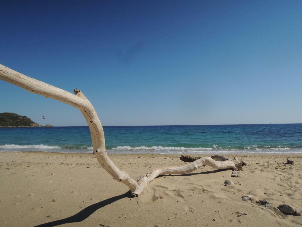 Les Calanques Apartment เลอิสซ็องเบรอ ภายนอก รูปภาพ